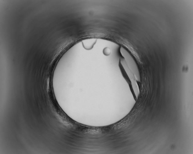 X0000099930110200806201106