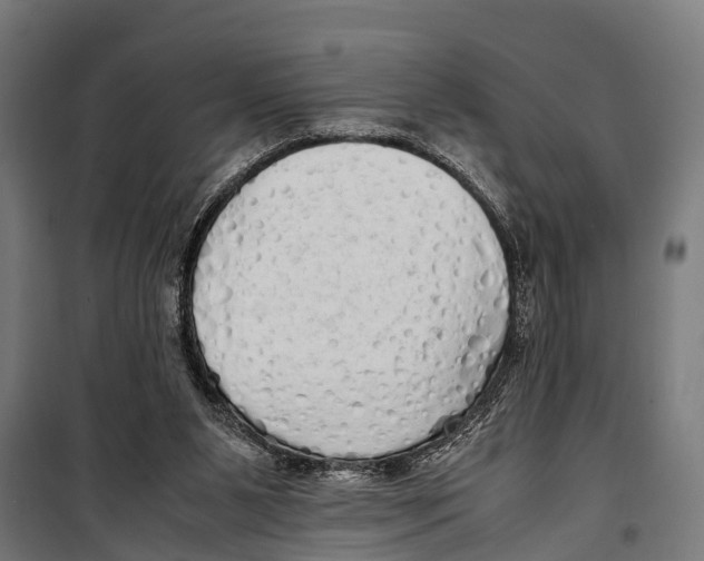 X0000099930111200806201106