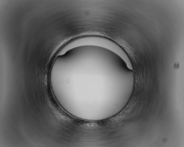 X0000099930112200806201106