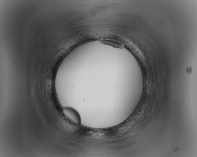 X0000099930113200806201106