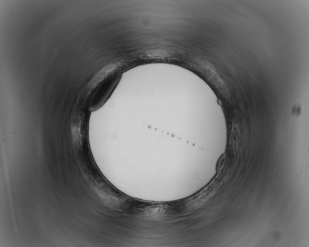 X0000099930116200806201106