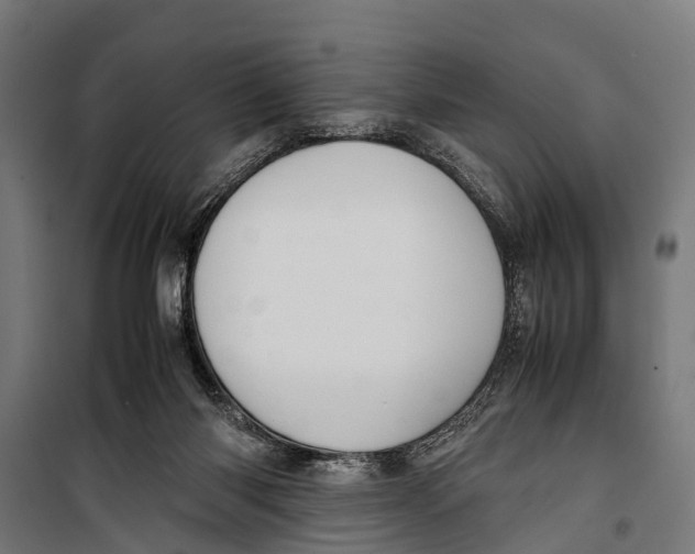 X0000099930118200806201106