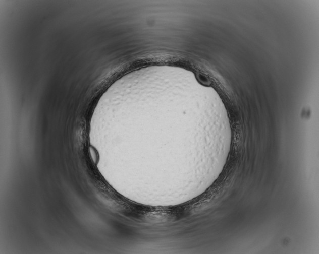 X0000099930119200806201106