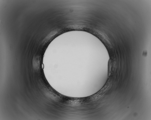 X0000099930120200806201106