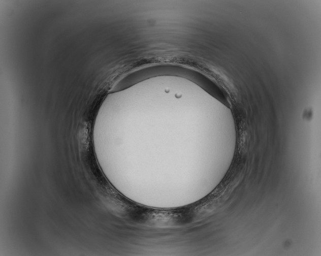 X0000099930121200806201106