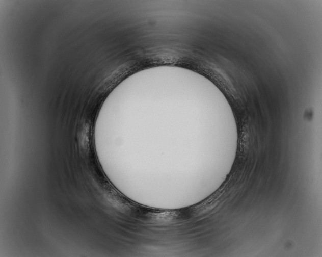 X0000099930122200806201106