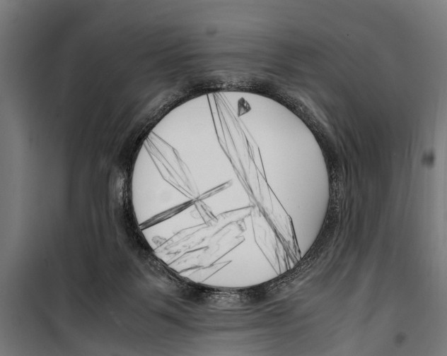 X0000099930123200806201106