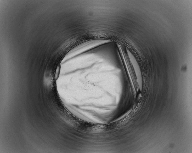 X0000099930124200806201106