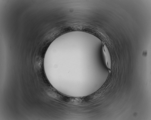 X0000099930125200806201106