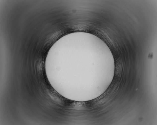 X0000099930126200806201106