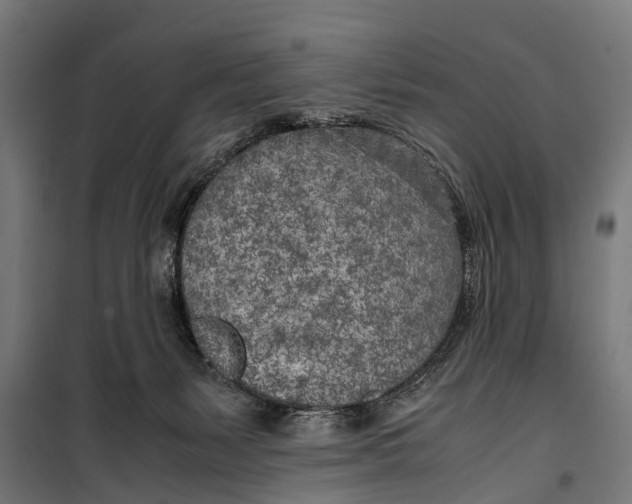 X0000099930127200806201106