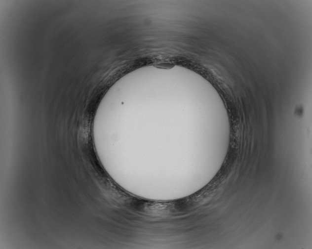 X0000099930129200806201106