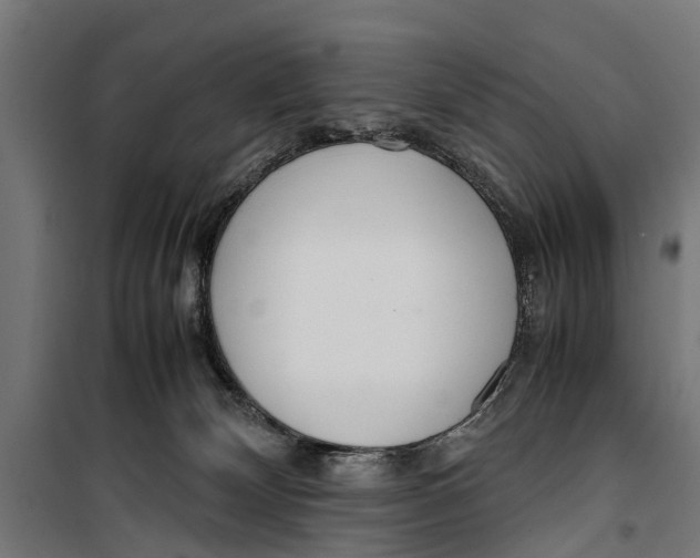 X0000099930132200806201105