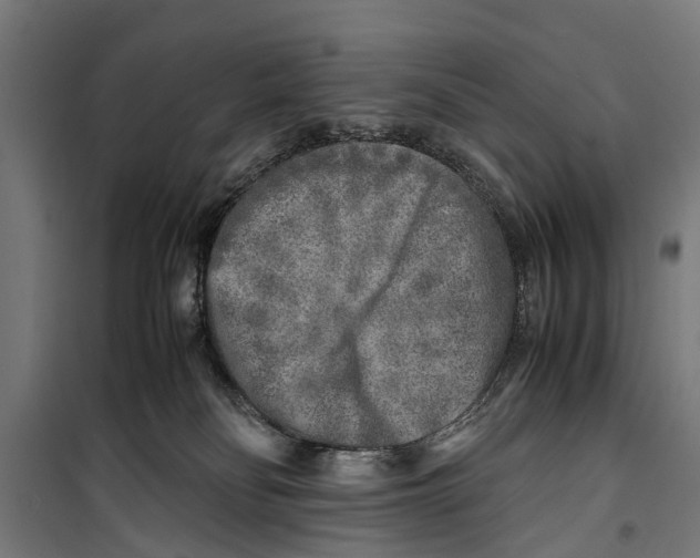 X0000099930134200806201105