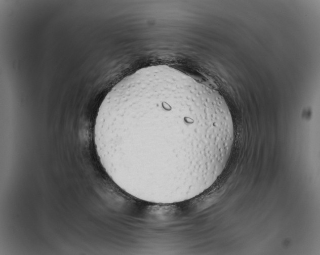 X0000099930135200806201105