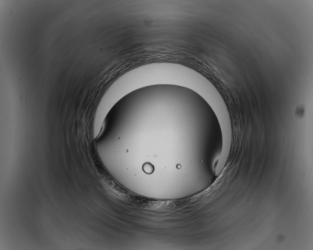 X0000099930136200806201105