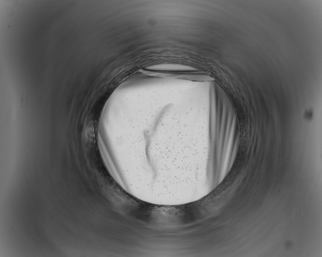 X0000099930137200806201105