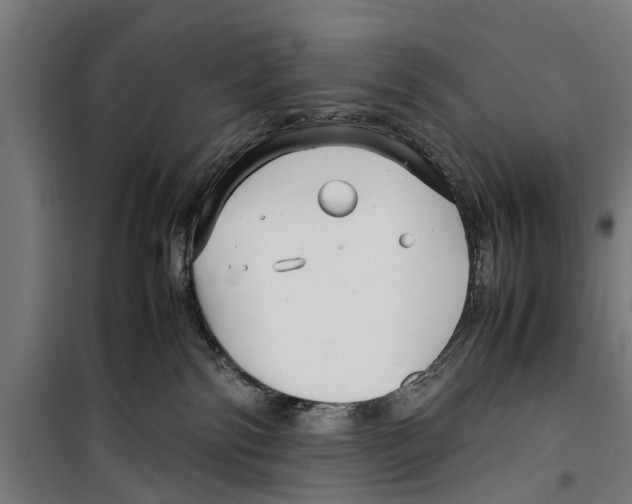 X0000099930138200806201105