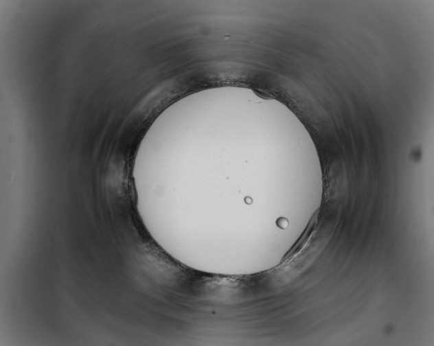 X0000099930140200806201105