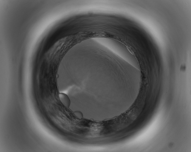 X0000099930143200806201105