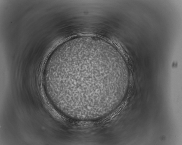 X0000099930145200806201105