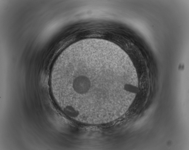 X0000099930146200806201105