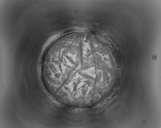 X0000099930149200806201105