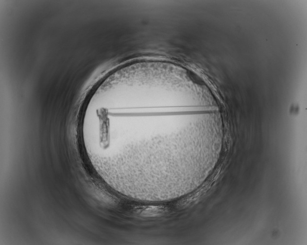 X0000099930151200806201105