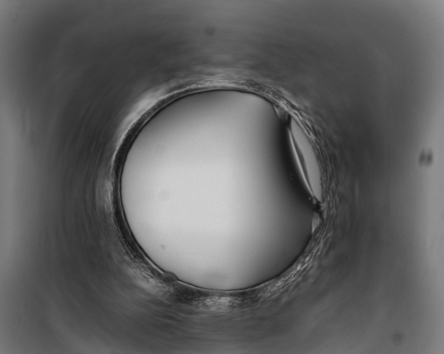 X0000099930152200806201105