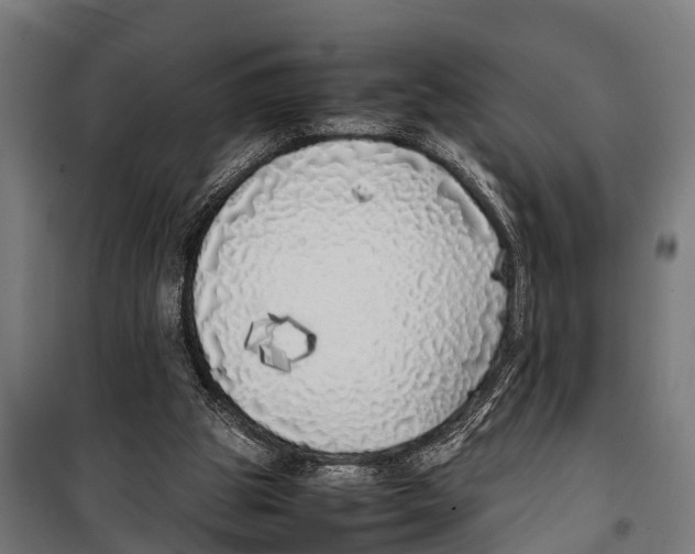 X0000099930153200806201105