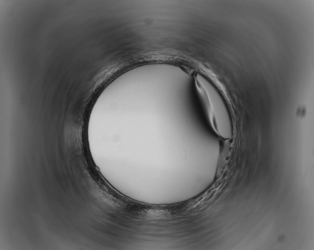 X0000099930154200806201105