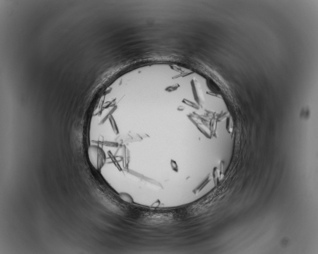 X0000099930155200806201105