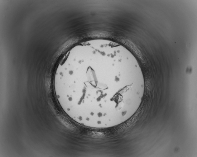 X0000099930159200806201105