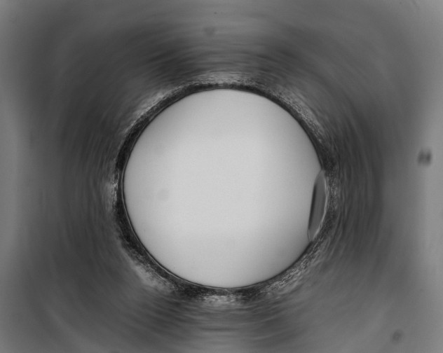 X0000099930160200806201105