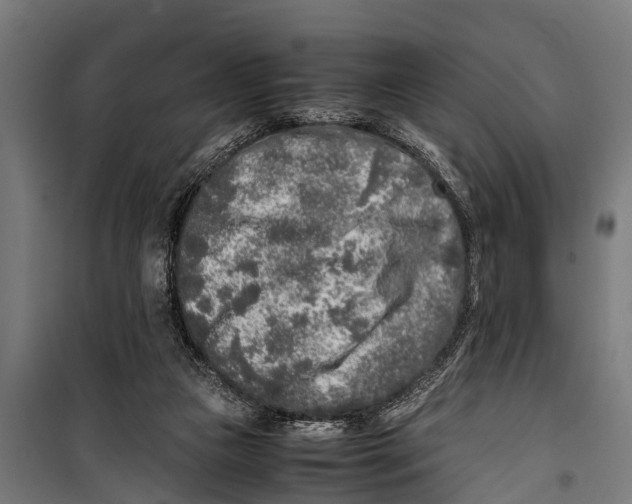 X0000099930161200806201105