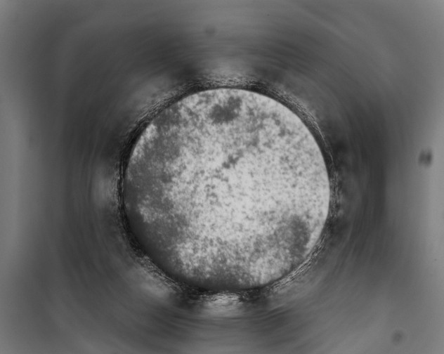 X0000099930162200806201105