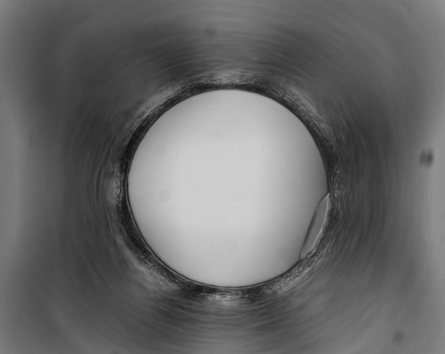 X0000099930164200806201105