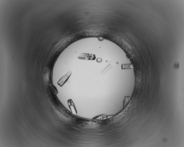 X0000099930166200806201105