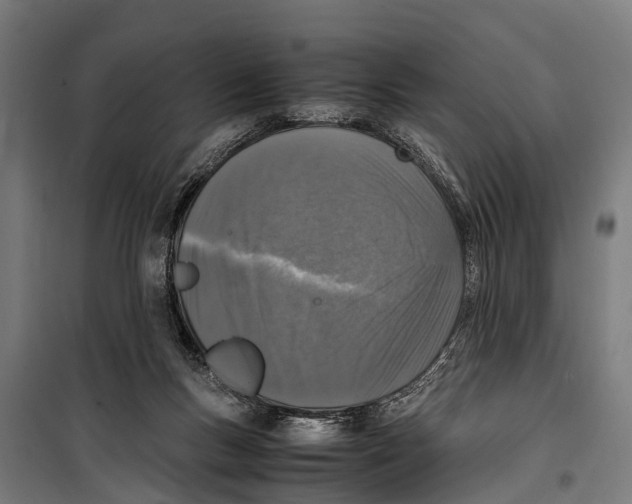 X0000099930167200806201105