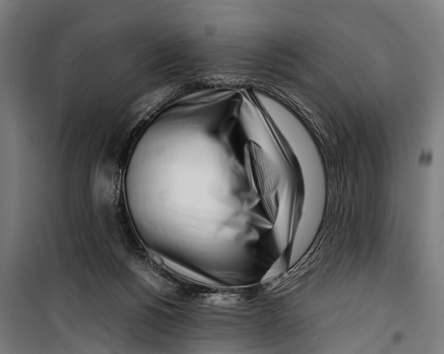 X0000099930168200806201105