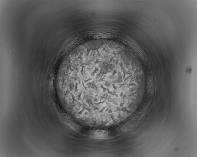 X0000099930169200806201105