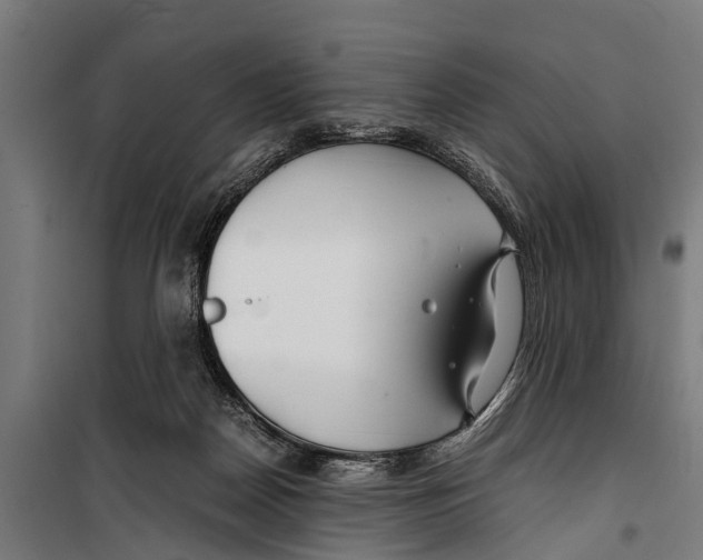 X0000099930170200806201105