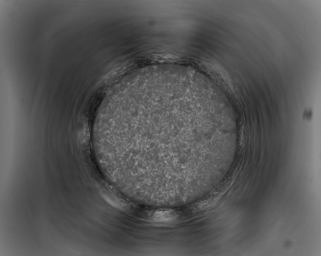 X0000099930173200806201105