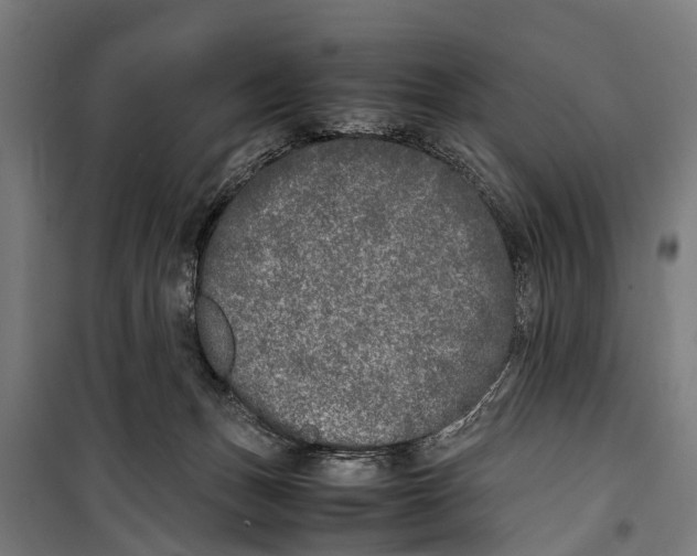 X0000099930175200806201105