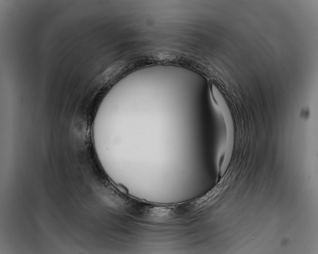 X0000099930176200806201105