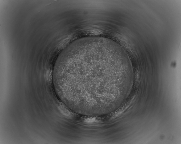 X0000099930177200806201105