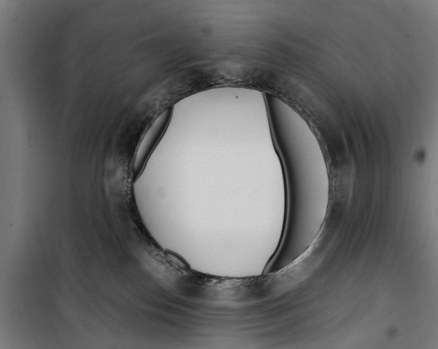 X0000099930186200806201105