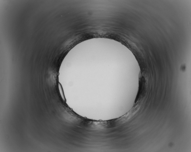 X0000099930188200806201105