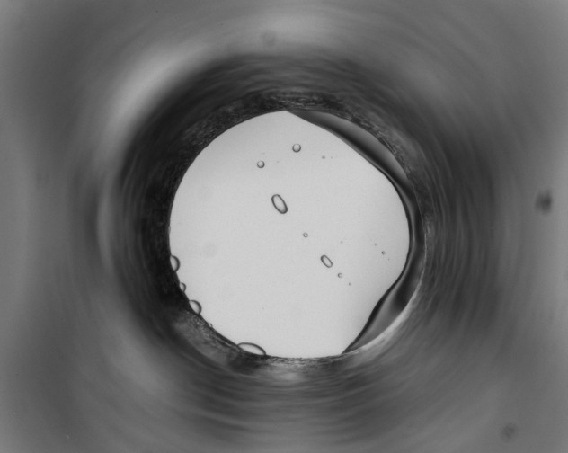 X0000099930190200806201105