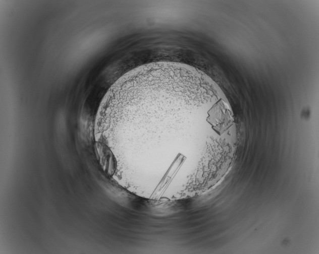 X0000099930191200806201105